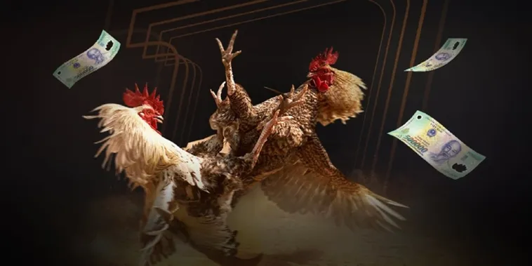 Đá Gà ABC8 Khám Phá Sảnh Cược Đỉnh Cao Cho Mọi Kê Thủ 2025