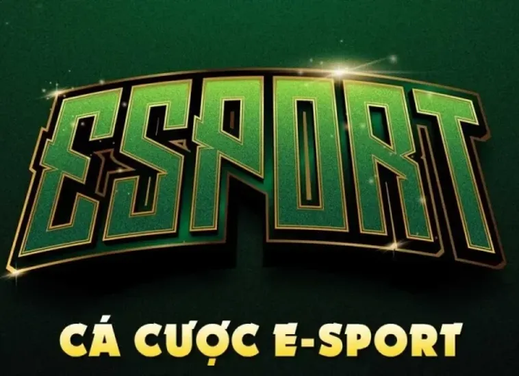 Cách Chơi Thể Thao Điện Tử Tại ABC8 Từ Gà Mờ Đến Pro Player 2 Cách Chơi Thể Thao Điện Tử Tại ABC8 Từ Gà Mờ Đến Pro Player